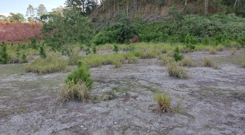 terreno-em-guararema-centro.jpg (2)