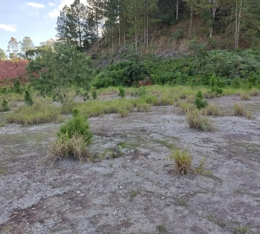 terreno-em-guararema-centro.jpg (2)